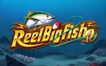 Betcris-Reel-Big-Fish